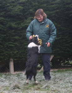 Plumtree Kennels Oswestry pet image Plumtree Kennels Oswestry pet image